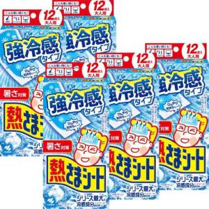熱さまシート 強冷感 大人用 ( 12枚入×5セット )