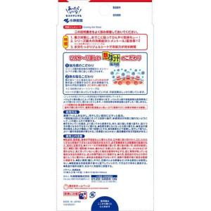熱さまシート 強冷感 大人用 ( 12枚入×5...の詳細画像1