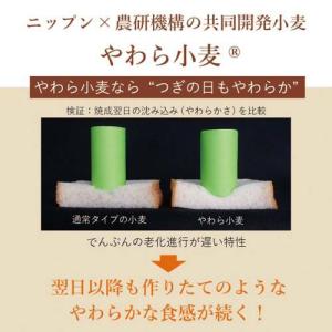 ニップン つぎの日もやわらか強力小麦粉 ( 1...の詳細画像1