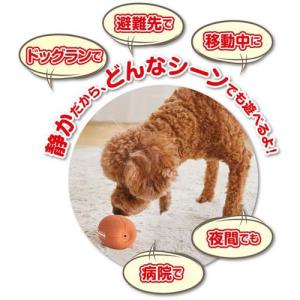 サイレントドッグラテックス ラグビーボール (...の詳細画像4