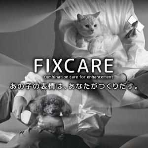 犬猫用 FIXCARE 刃先が丸くて優しい カ...の詳細画像4