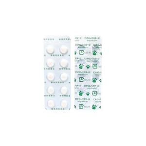 【動物用医薬品】犬猫用 ビオイムバスタージョウ...の詳細画像3