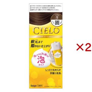 資生堂 アウスレーゼ ボリュームセット ムース N ( 180g