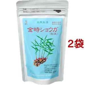 金時ショウガ 粉末 ( 100g*2袋セット )  茶々