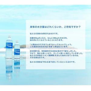 ポカリスエット ( 300ml*48本セット ...の詳細画像1