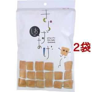 きらず揚げ しお アルミパッケージ ( 100g*2袋セット )/ おとうふ工房いしかわ