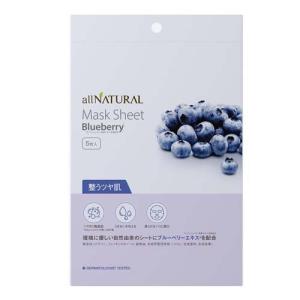 オールナチュラル マスクパックBB ブルーベリー / allNATURAL