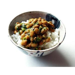 寺岡家の納豆にかけるお醤油 ( 150ml*2...の詳細画像1