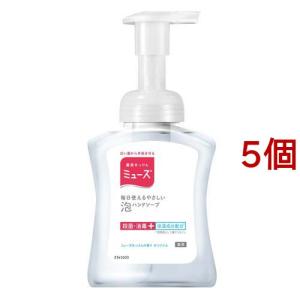 キレイキレイ 薬用泡ハンドソープ シトラスフルーティの香り 詰替用
