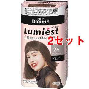 【２４個セット】【１ケース分】  ブローネ ルミエストヘアカラー クリーム 2A スタイリッシュアッシュ 1セット×２４個セット　１ケース分 ブローネ ルミエストヘアカラー クリーム 2A スタイリッシュアッシュ