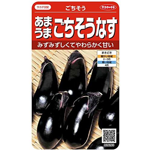 サカタのタネ 実咲野菜0203 あまうまごちそうなす ごちそう 00920203