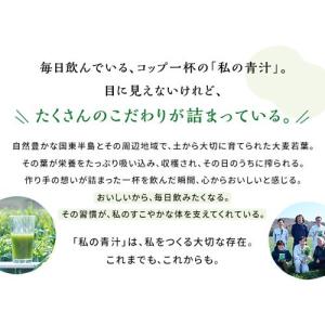 私の青汁 ( 60袋入×3箱セット )/ 元気な畑の詳細画像2