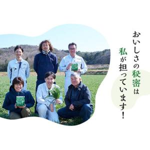 私の青汁 ( 60袋入×3箱セット )/ 元気な畑の詳細画像4
