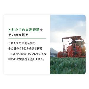 私の青汁 ( 60袋入×3箱セット )/ 元気な畑の詳細画像5