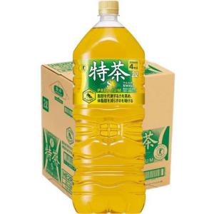 キリン ヘルシア緑茶 角ボトル ( 24本入×2セット(1本350ml