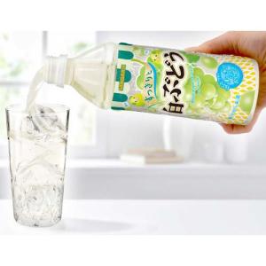 サンガリア すっきりと白ぶどう ( 500ml...の詳細画像2