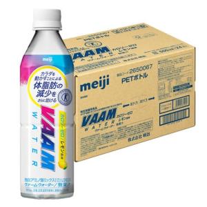 キリン ヘルシア緑茶 角ボトル ( 24本入×2セット(1本350ml