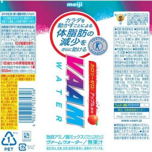 ヴァームウォーター アップル風味 ( 500m...の詳細画像1