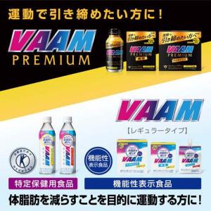 ヴァームウォーター アップル風味 ( 500m...の詳細画像2