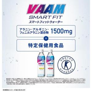 ヴァームウォーター アップル風味 ( 500m...の詳細画像3