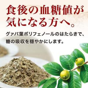 蕃爽麗茶 ( 500ml*24本入 )/ ヤク...の詳細画像1
