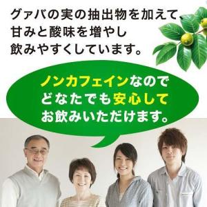 蕃爽麗茶 ( 500ml*24本入 )/ ヤク...の詳細画像3