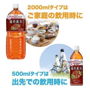 蕃爽麗茶 ( 500ml*24本入 )/ ヤク...の詳細画像4