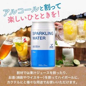 神戸居留地 スパークリングウォーター 強炭酸水...の詳細画像4