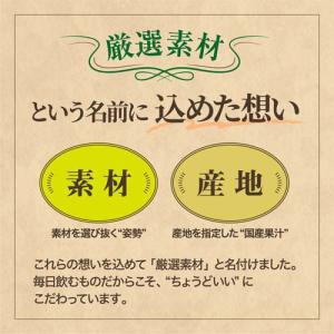 神戸居留地 りんごと微炭酸100%のやさしいジ...の詳細画像4