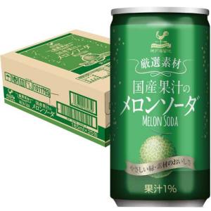 神戸居留地 厳選素材 国産果汁のメロンソーダ 缶 ( 185ml*20本入
