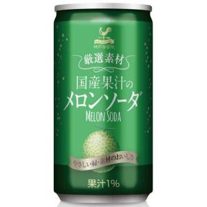 神戸居留地 厳選素材 国産果汁のメロンソーダ 缶 ( 185ml*20本入 )/ 神戸居留地｜soukaidrink