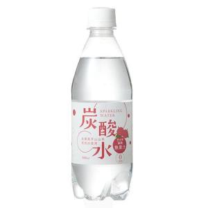 (訳あり)国産 天然水仕込みの炭酸水 ライチ ( 500ml*24本入 )