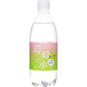 国産 天然水仕込みの炭酸水 ウメ