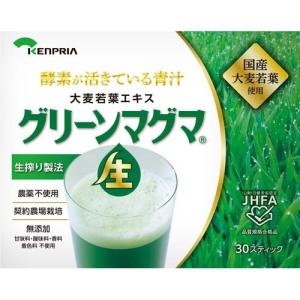 グリーンマグマ ( 90g(3g×30スティック) )｜soukaidrink