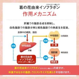 リビタ ファットケア タブレット(粒タイプ) ...の詳細画像2