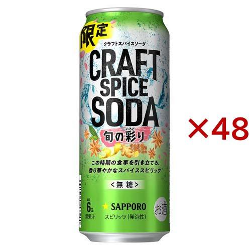 サッポロ クラフトスパイスソーダ 旬の彩り 缶 ( 24本×2セット(1本500ml) )