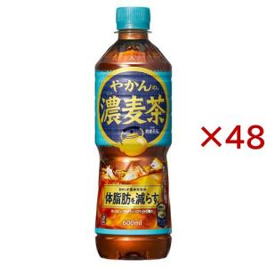 爽健美茶 2ケースセット 即納 送料無料 (地域限定) 機能性 やかんの濃