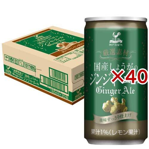 神戸居留地 厳選素材 国産生姜のジンジャーエール 缶 炭酸飲料 ( 20本入×2セット(1本185m...