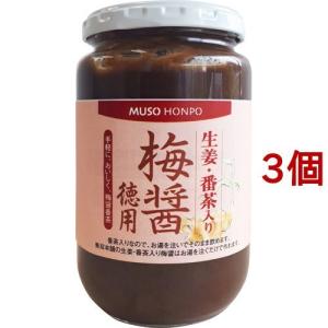 ムソー食品工業 生姜・番茶入り 梅醤 ( 350g*3個セット