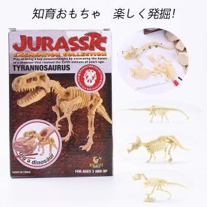 恐竜の骨 おもちゃ 知育玩具 の商品一覧 おもちゃ ゲーム おもちゃ 通販 Yahoo ショッピング