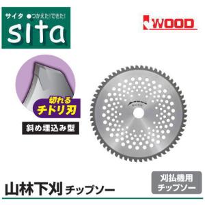 sita 山林下刈チップソー 255mm 2枚入 IWOOD 2ST-255 刈払機用チップソー｜soukoukan