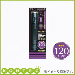 Tajima セフハンドライト SFHD 500lm フォーカス 3747セット
