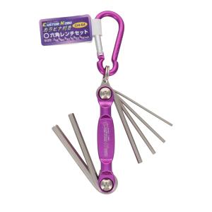 三共コーポレーション ヘックススローブレンチセット 9本組 TTM-9 trad