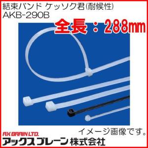 結束バンド ケッソク君 耐候性 ブラック AKB-290B 100本 アックスブレーン｜soukoukan