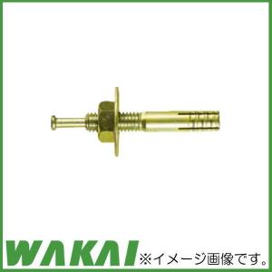 オールアンカー ステンレス M16 長さ 120mm SC-1612 ( 1本単位 バラ