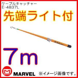 DENSAN（デンサン） シルバーフィッシャーミニ 2m DVF-2000 ジェフコム