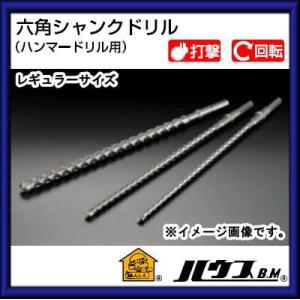 六角シャンクビット(打撃・回転用)レギュラーサイズ 22.0mm　HD-22.0 ハウスビーエム