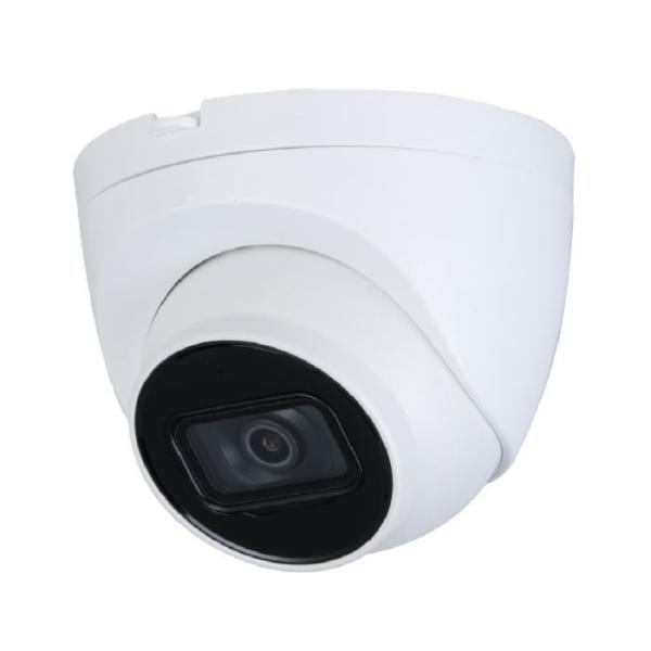 2メガピクセル防水ドーム型IPカメラ IP-2D21 マザーツール MotherTool 代引不可