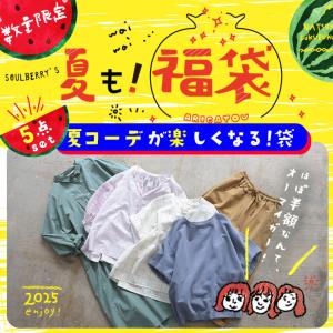 夏も！福袋＜夏コーデが楽しくなる！袋＞ レディース ハッピーバッグ ラッキーバッグ セット 詰め合わせ ブラウス シャツ【お客様都合での返品・交換不可】