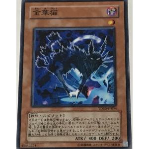 遊戯王 ジャンク ノーマル 効果モンスター 1枚 金華猫 TDGS